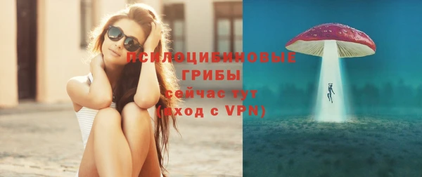 ПСИЛОЦИБИНОВЫЕ ГРИБЫ Володарск