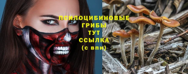 ПСИЛОЦИБИНОВЫЕ ГРИБЫ Володарск