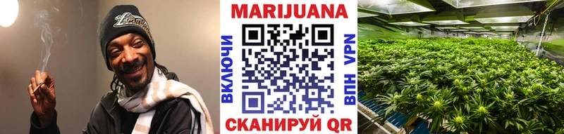 Купить закладки  Боровичи  Канабис план 